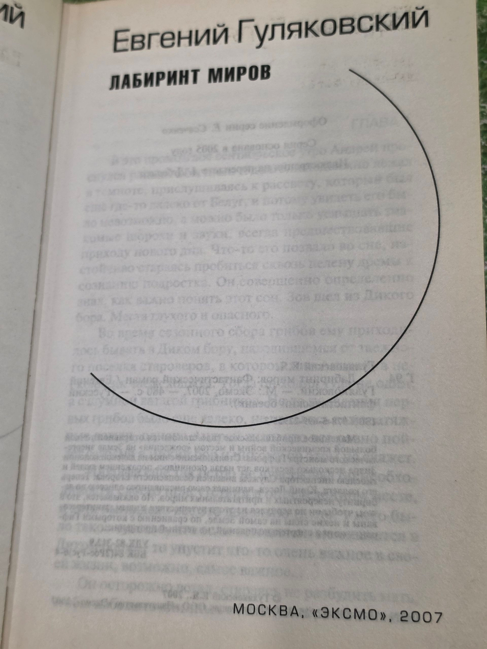 Книга "Лабиринт миров"