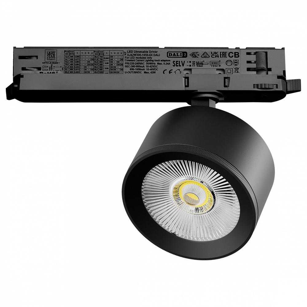 Светильник на штанге Lightstar Alta Pro A5547DALI