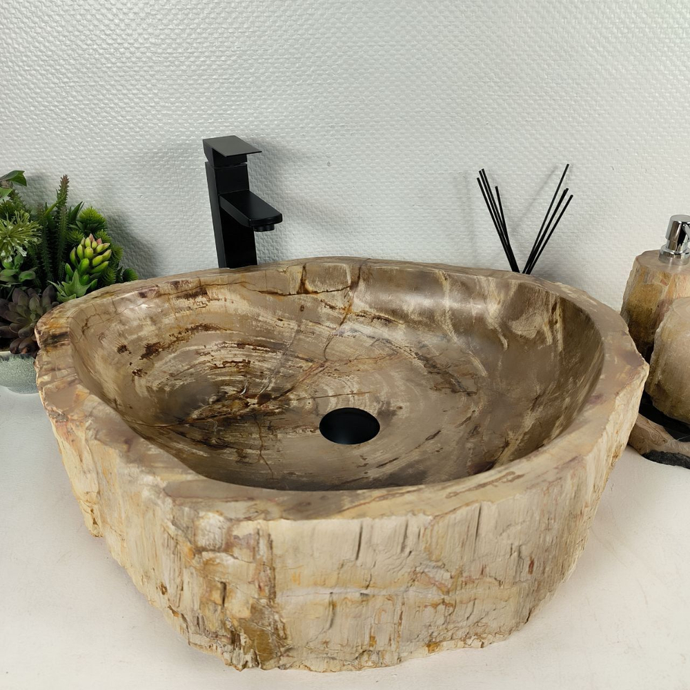 Раковина из окаменелого дерева OD-64562 64x53x15 из натурального камня