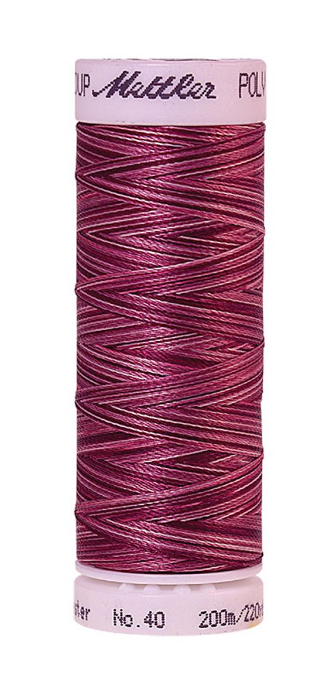 Нить вышивальная Mettler Poly Sheen Multi 40 (200 м), 5 кат. | цв. 9922 Нить вышивальная Mettler Poly Sheen Multi 40 (200 м), 5 кат. | цв. 9922