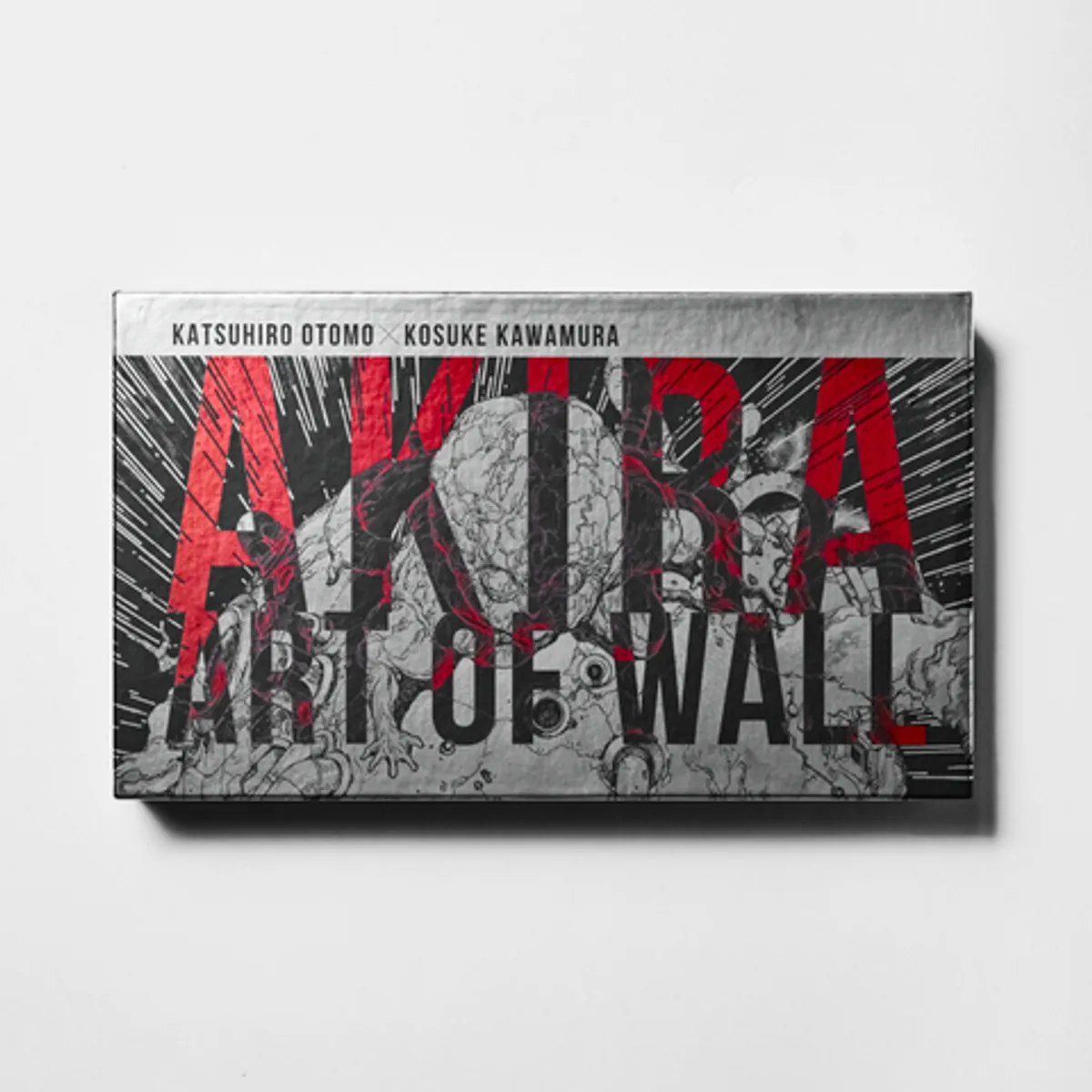 AKIRA: Art of Wall (На Английском языке)