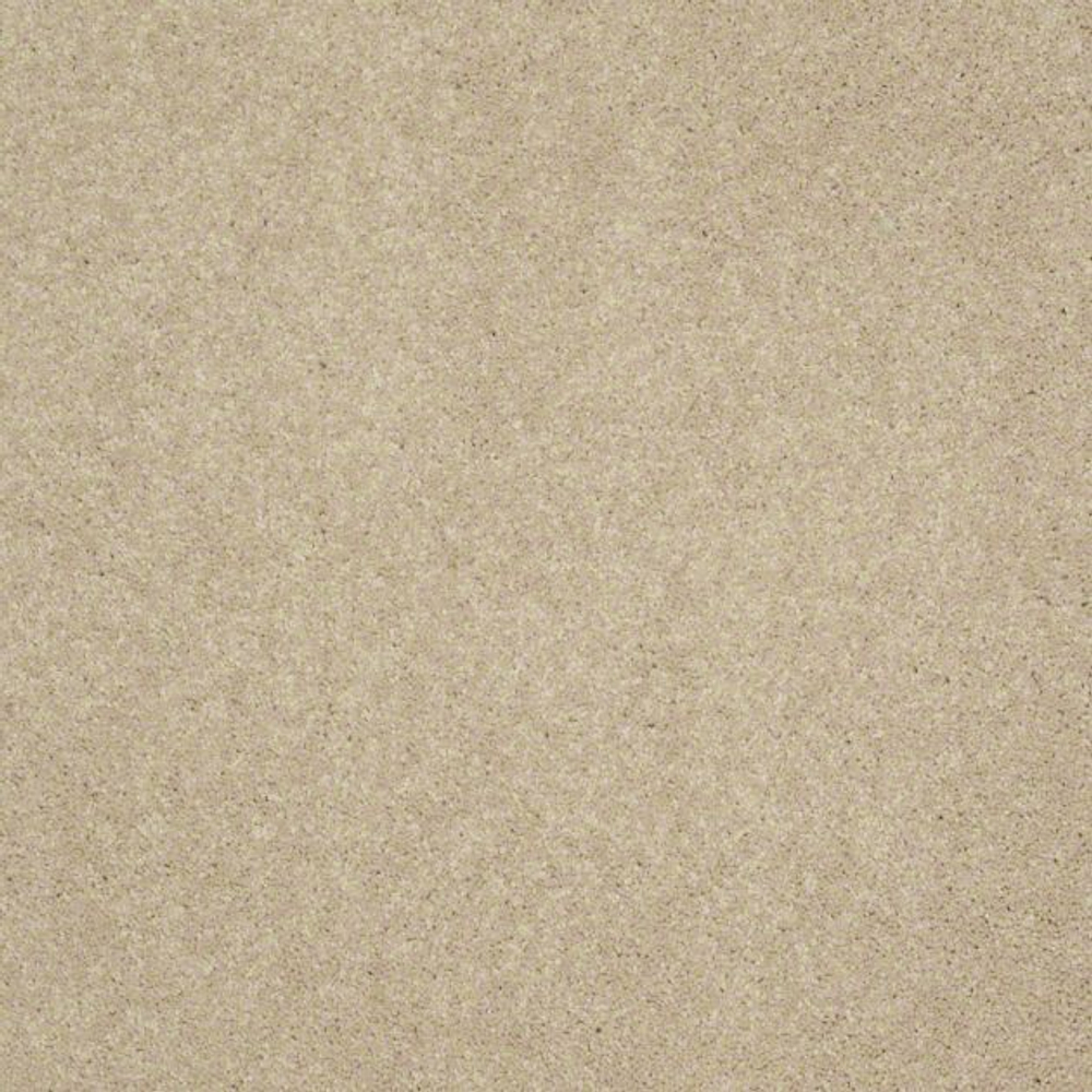 Ковровое покрытие Shaw Floors See the World III 111