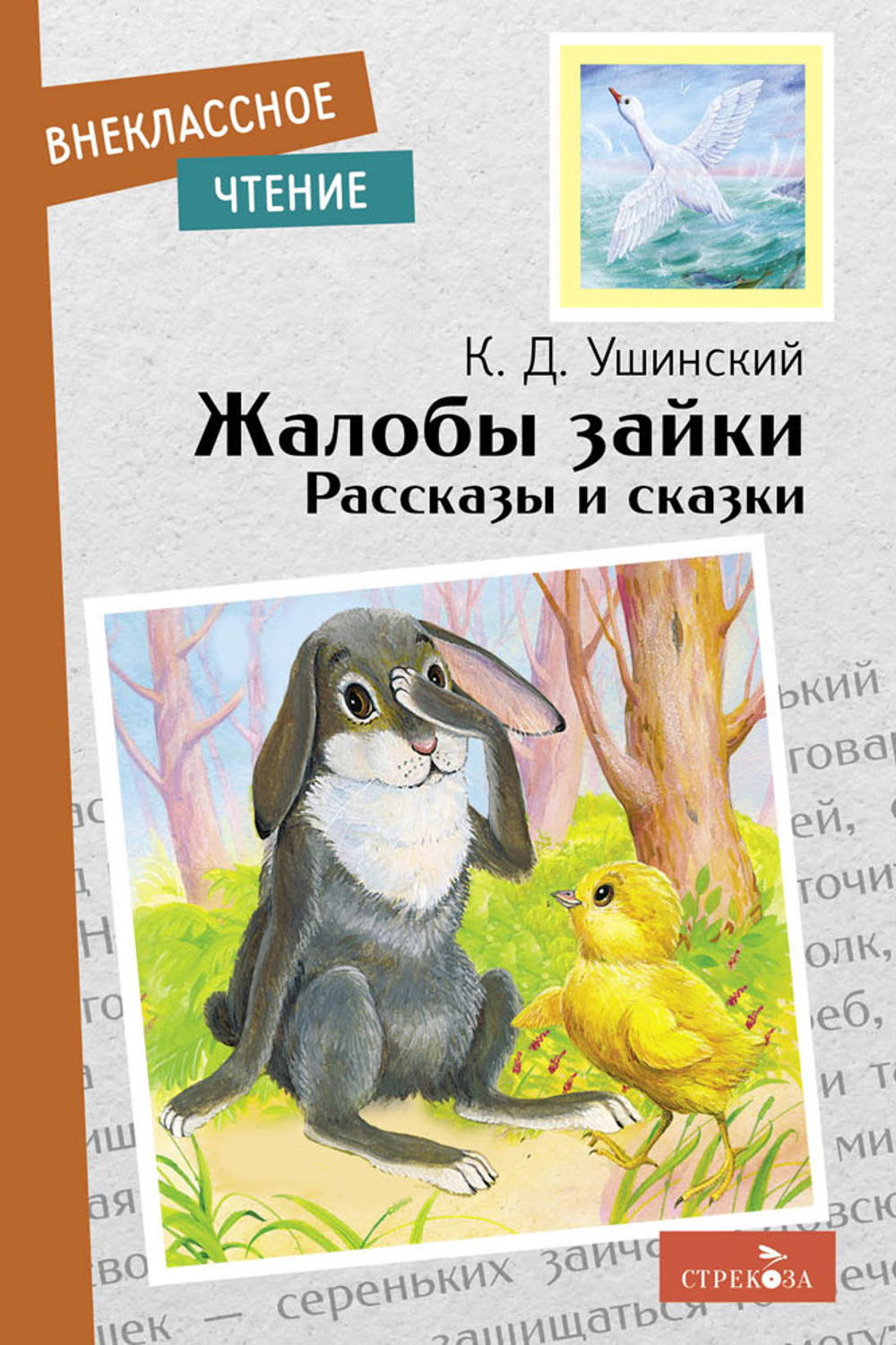 Внеклассное чтение