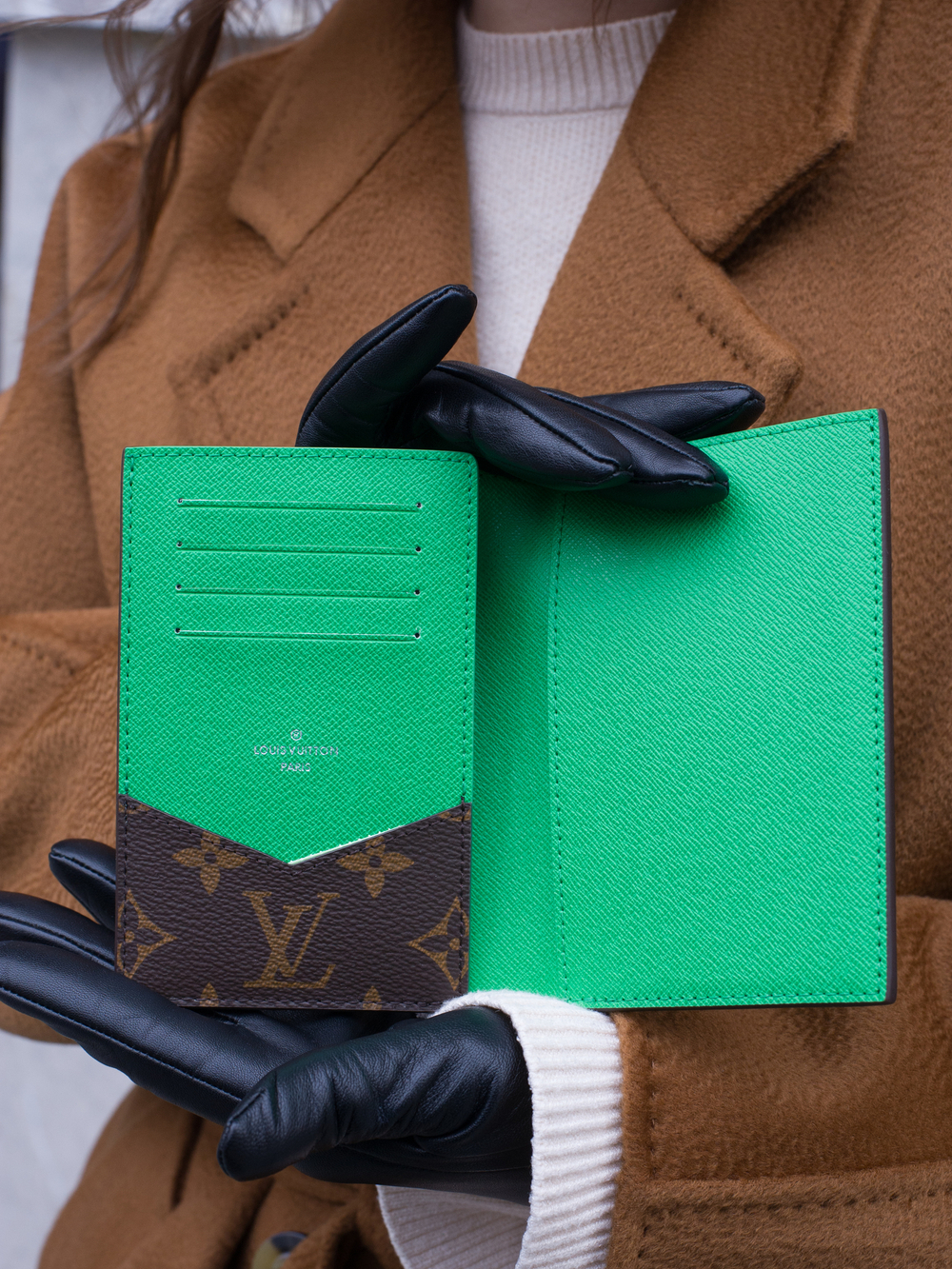 Louis Vuitton Обложка для паспорта