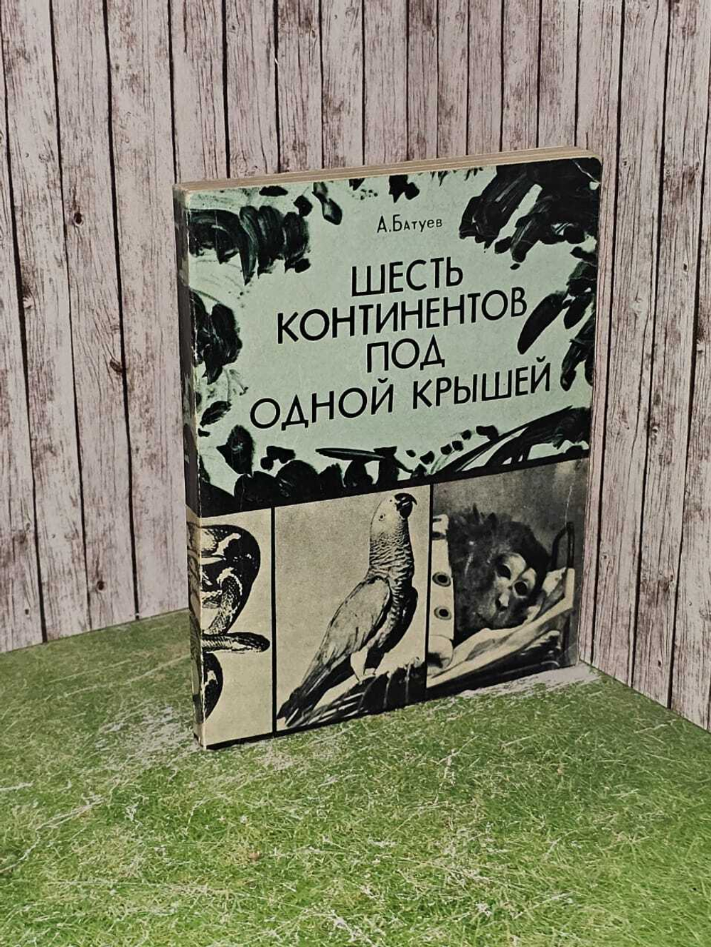 Шесть континентов под одной крышей. Батуев Андрей Михайлович