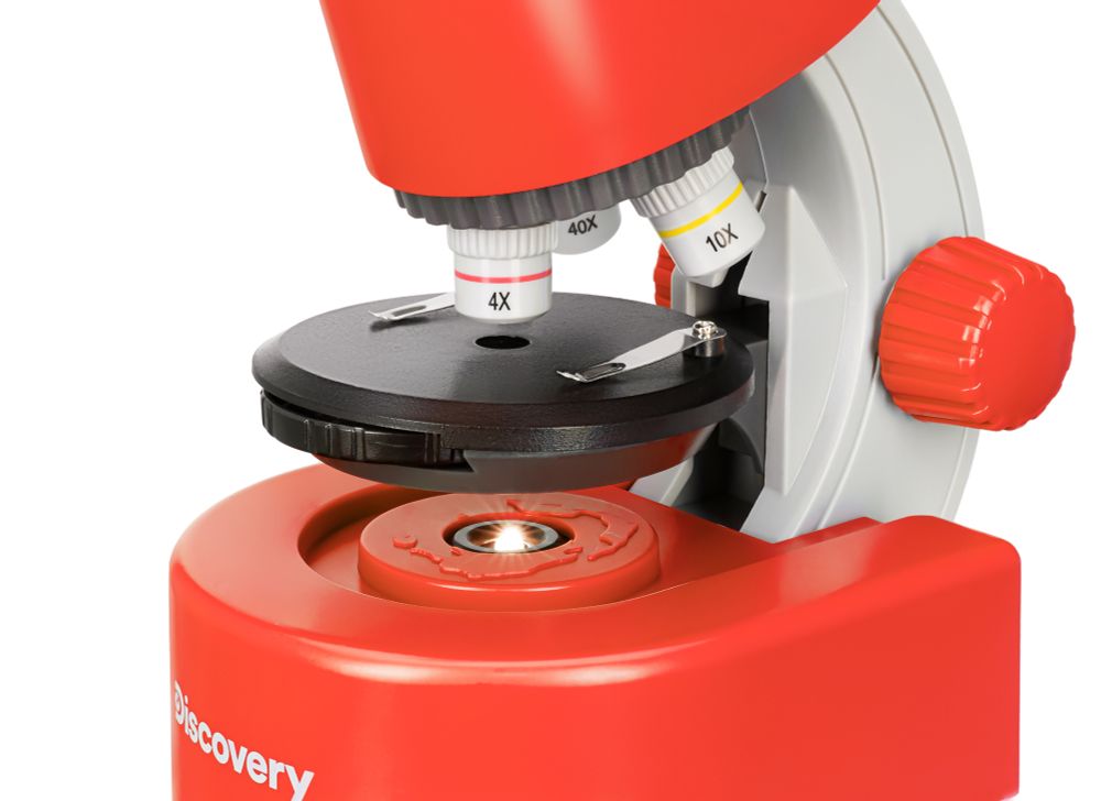 Микроскоп Levenhuk Discovery Micro с книгой, 77956