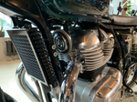 Royal Enfield Interceptor 650 Cali Green (Standard / Single tone)