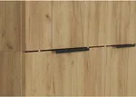 РОБИН Шкаф ШК-001