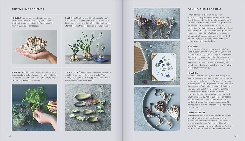 The Little Flower Recipe Book: 148 Tiny Arrangements for Every Season and Occasion