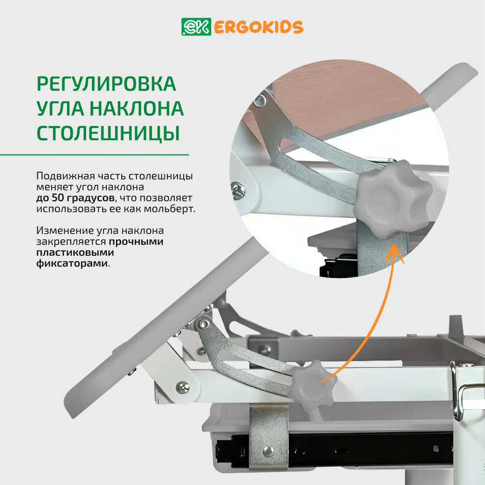 Детский стол и стул Ergokids Foxy BD-20