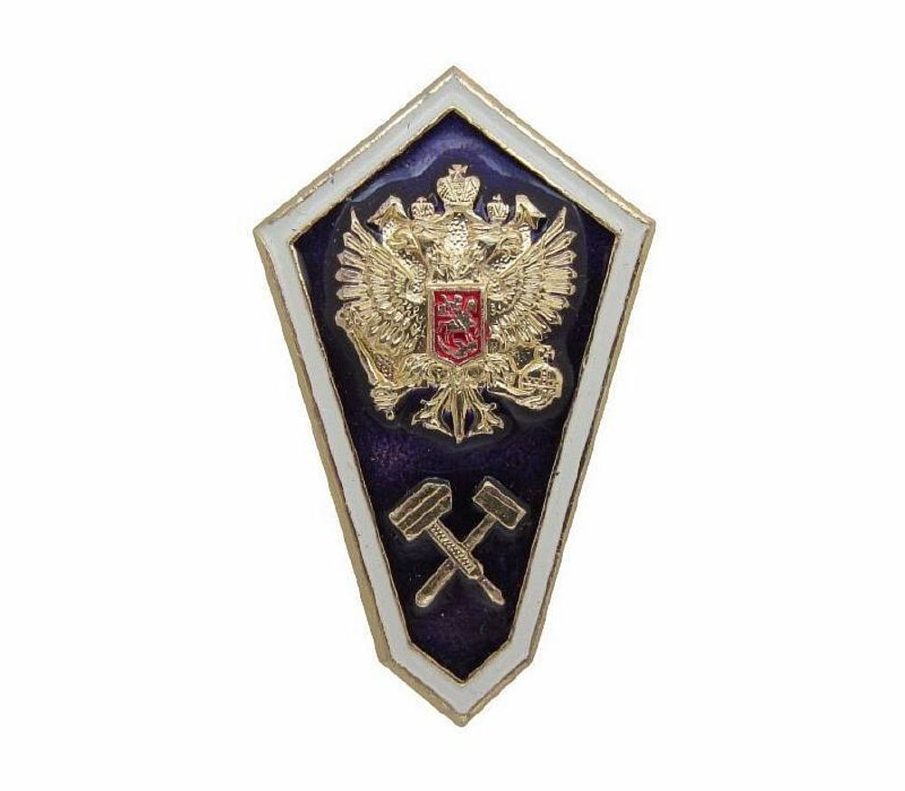 Значок алюминиевый гробик среднее техническое образование (синий)