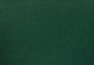 Искусственная кожа Домус зелёный / Domus green