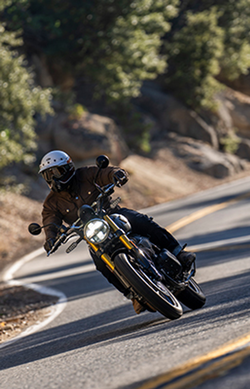 Мотоцикл Royal Enfield Bear 650 Golden Shadow