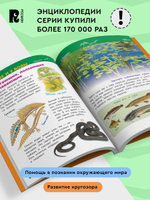 Животные России (Энциклопедия для детского сада)