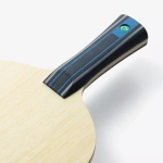 FAN ZHENDONG ALC