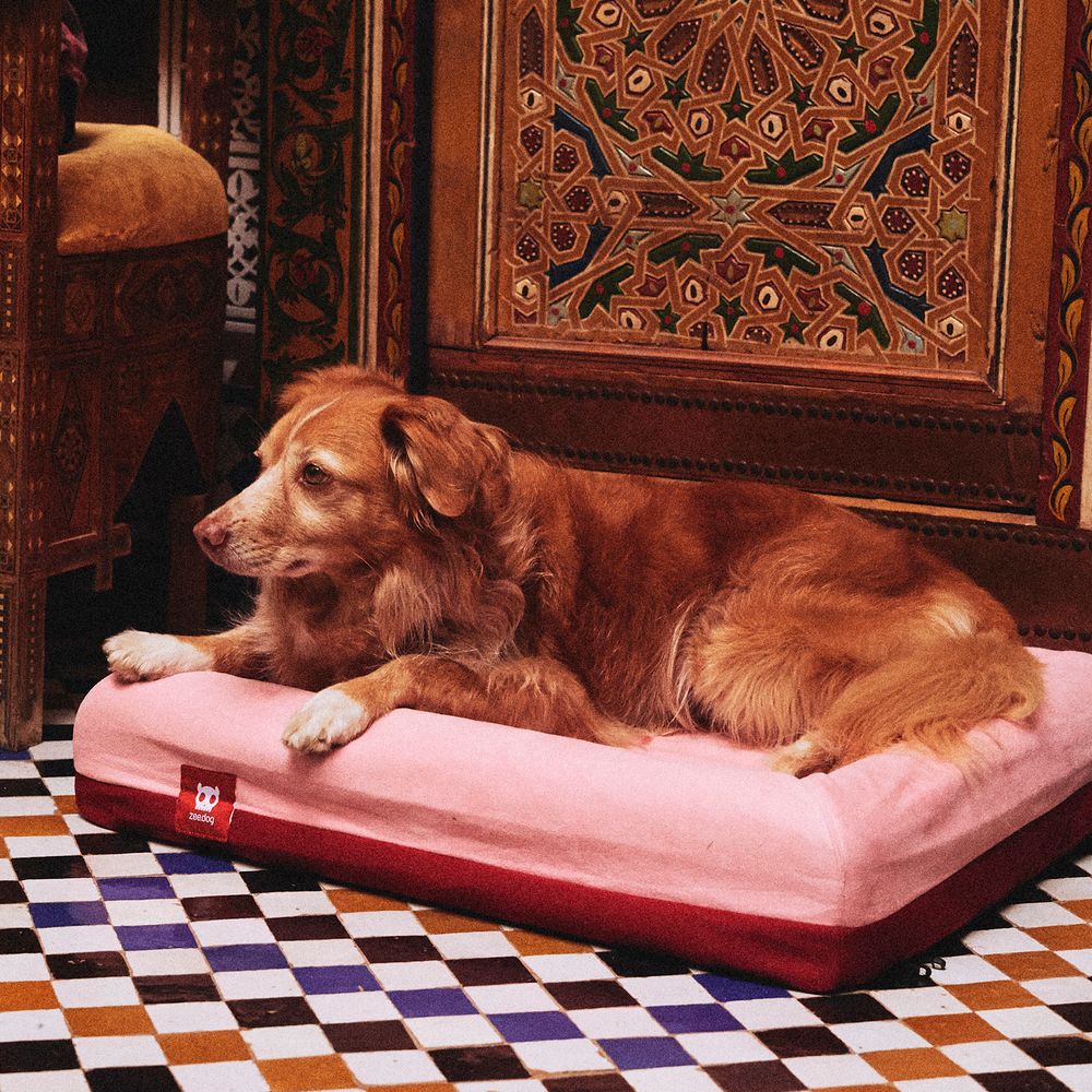 Лежанка Zee.Bed NAJIMA Zee.Dog