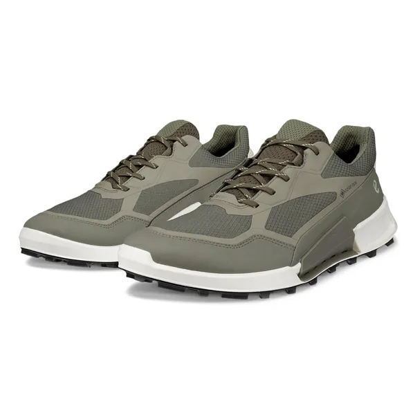 Кроссовки мужские ECCO BIOM 2.1 X MOUNTAIN M