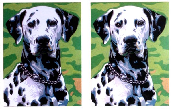 Рисунок для вышивания Soulos (канва жесткая), 2 рисунка Далматины, 40х60 см