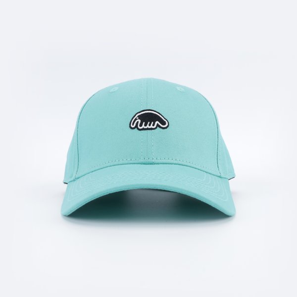 Кепка Anteater Baseball (mint) артикул: - купить в магазине Дайс