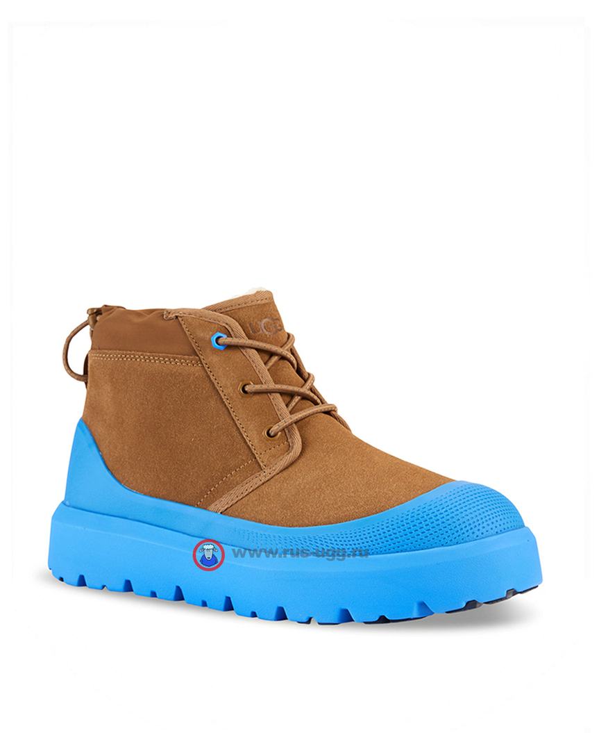 MENS NEUMEL WEATHER HYBRID Chestnut/Navy