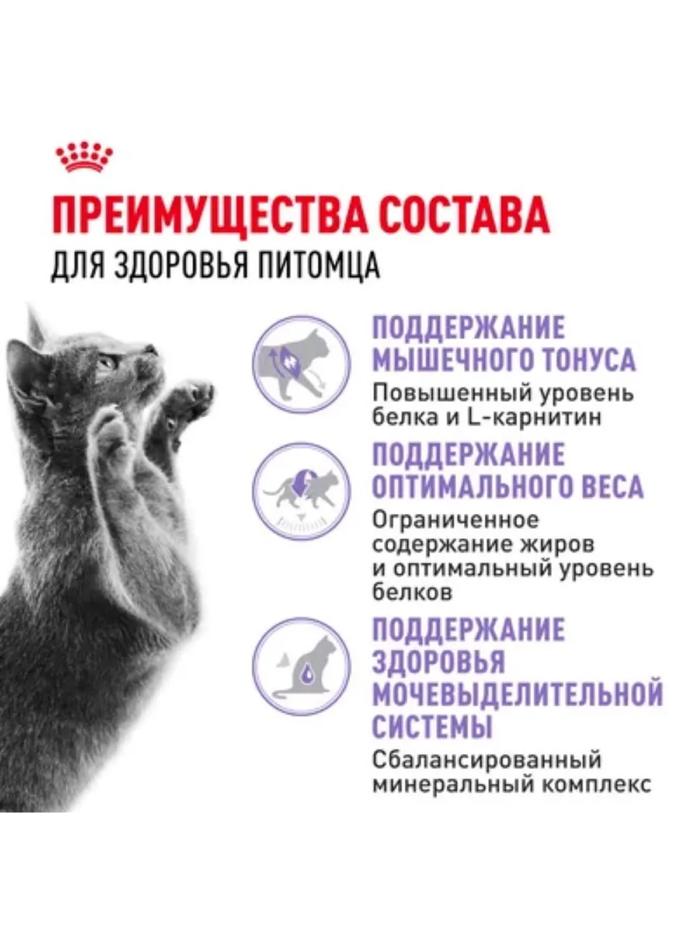 Sterilised 37 Корм для кошек 4 кг