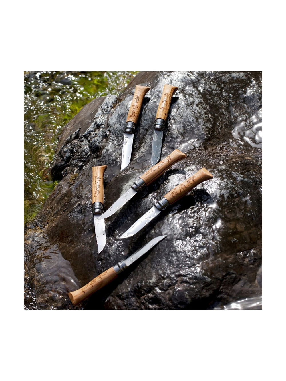 Нож Opinel №8 Animalia, нержавеющая сталь, рукоять дуб, гравировка медведь