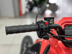 Снегоход IRBIS TUNGUS 500LE PRO 25/26
