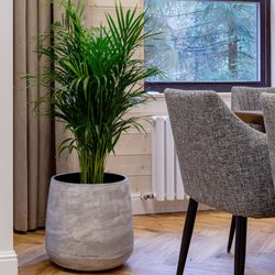 Кашпо CONE CONCRETE GREY LIGHT D36 H75
