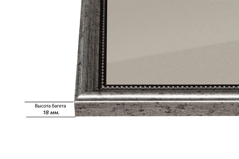 Рамка 50x95 для постера и фотографий