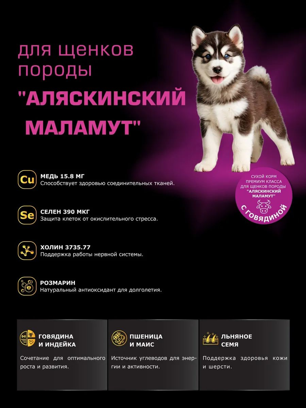 Корм сухой для щенков породы Аляскинский маламут, с говядиной, 12 кг, QUATTRO