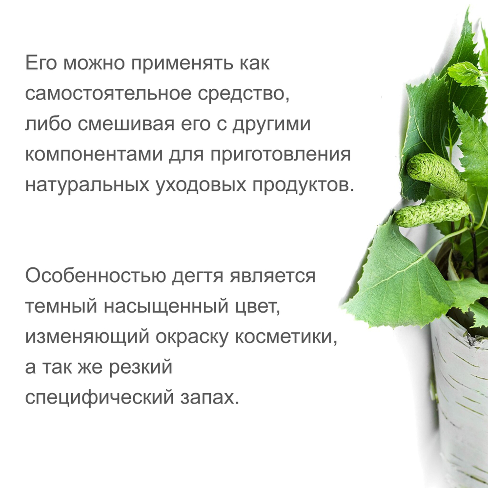 Дёготь берёзовый