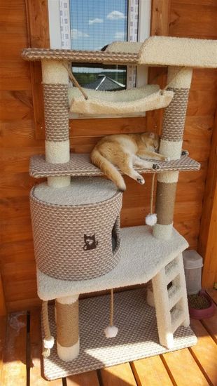 Дом для кота И-82