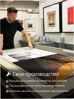 Картина Тень ветви модульная 50x70см 3шт.