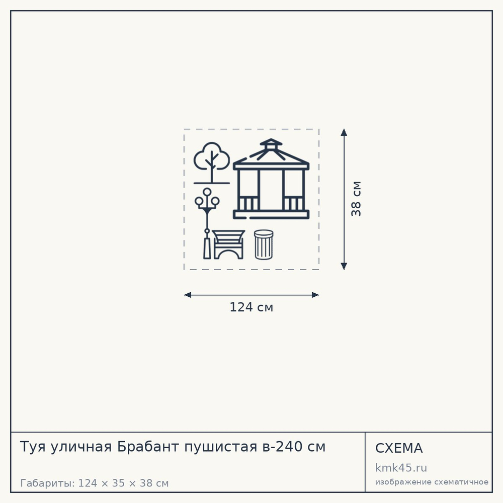 Туя уличная Брабант пушистая в-240 см — от 36 000 ₽