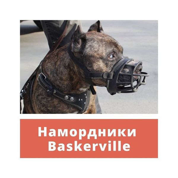 Намордники Baskerville Намордники Baskerville