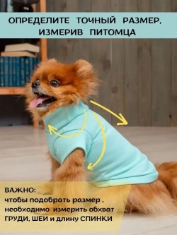 Футболка для собак мелких средних пород и кошек