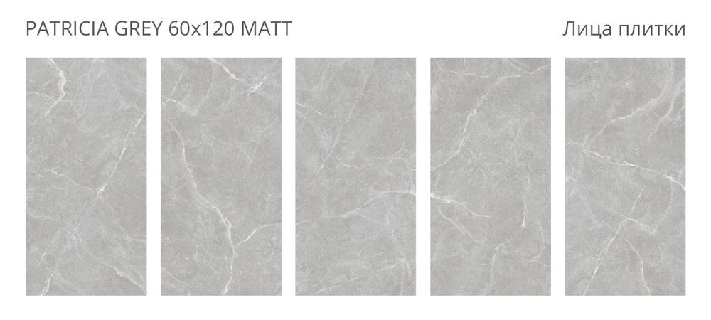 Staro Rizzi Patricia Grey Matt 60x120