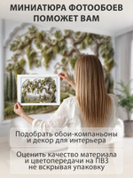 Фотообои 3D в спальню и для зала Виноградник