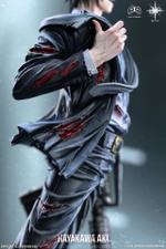 Hayakawa Aki