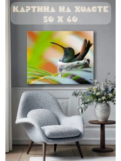 Картина на стену 40 X 50 Колибри