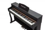 Pierre Cesar DP-500-H