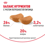 Royal Canin Rottweiller Adult Ротвейлер Эдалт Корм сухой для взрослых собак породы Ротвейлер от 18 месяцев 12кг