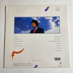 Винтажная виниловая пластинка LP Chris de Burgh Into The Light (Germany 1986) The Lady In Red