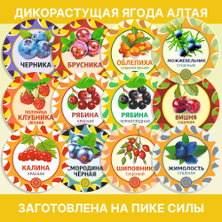 Зверобой (пучок)