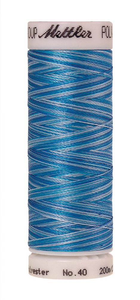 Нить вышивальная Mettler Poly Sheen Multi 40 (200 м), 5 кат. | цв. 9930