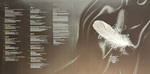 Scorpions ‎– Born To Touch Your Feelings - Best Of Rock Ballads 2LP (Европа 2019г.) RED