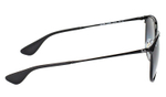 Erika Metal RB 3539 002/8G / 54