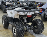 КВАДРОЦИКЛ PROMAX WILD 2.0 190
