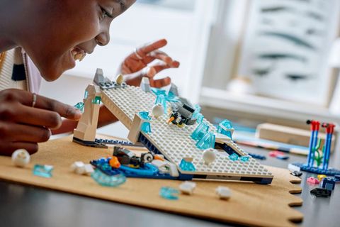Конструктор LEGO Education 45201 Antarctic Animals Science Kit