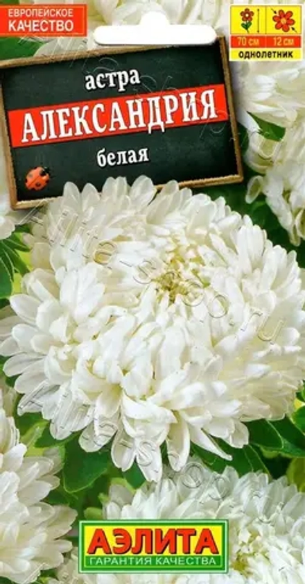 Астра Александрия белая 0,1г Аэлита